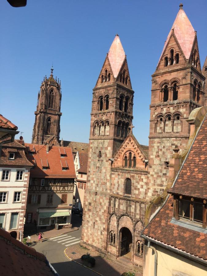 Le Pied A Terre Selestadien Sélestat Dış mekan fotoğraf