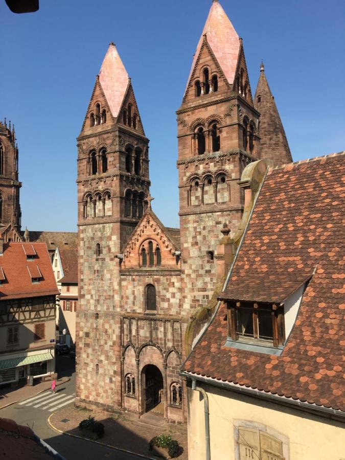 Le Pied A Terre Selestadien Sélestat Dış mekan fotoğraf